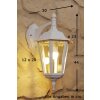 Konstsmide FIRENZE Aplique para exterior Transparente, claro, Blanca, 1 luz