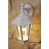 Konstsmide FIRENZE Aplique para exterior Transparente, claro, Blanca, 1 luz