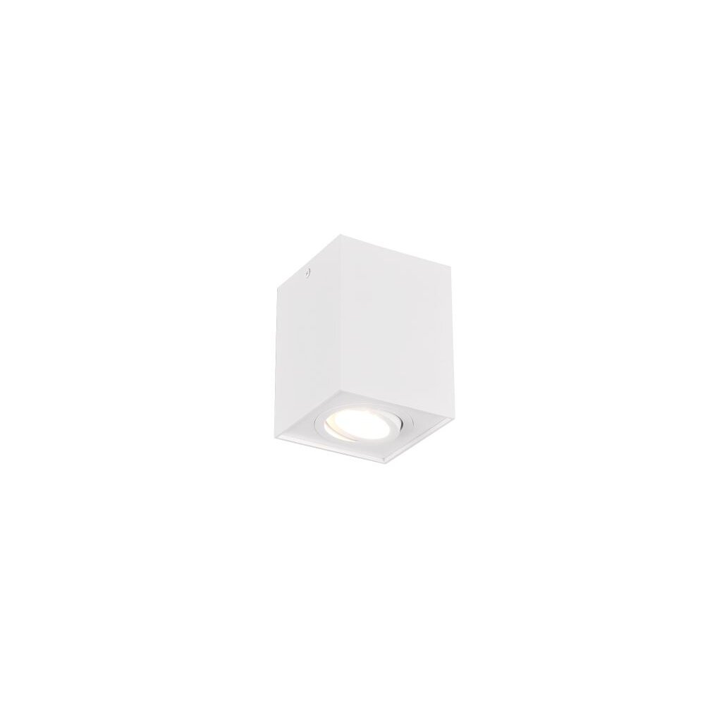 Lámpara de Techo Trio Leuchten BISCUIT Blanca, 1 luz main product photo