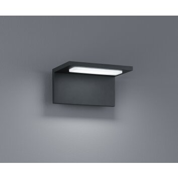 Trio TRAVE Aplique para exterior LED Antracita, 1 luz