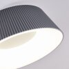 Fremont Lámpara de Techo LED Gris, 1 luz