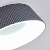 Fremont Lámpara de Techo LED Gris, 1 luz