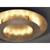 Paul Neuhaus NEVIS Lámpara de Techo LED dorado, 1 luz