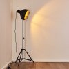 Jonsered Lámpara de Pie Negro, 1 luz