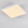 Bankura Lámpara de Techo LED Blanca, 1 luz