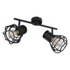 Globo CLASTRA Proyector Negro, 2 luces