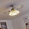Bendigo Ventilador de techo LED Níquel-mate, Transparente, claro, 1 luz
