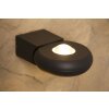 Trio TIGRIS Aplique para exterior LED Negro, 2 luces