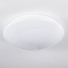 Brighton Star Lámpara de Techo LED Blanca, 1 luz, Mando a distancia, Cambia de color