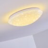 Brighton Star Lámpara de Techo LED Blanca, 1 luz, Mando a distancia, Cambia de color