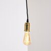 Lemone Lámpara Colgante Negro-dorado, 1 luz