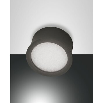 Fabas Luce Ponza Lámpara de Techo LED Antracita, 1 luz