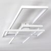 Hagenberg Lámpara de Techo LED Blanca, 1 luz