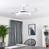 Bendigo Ventilador de techo LED Cromo, Transparente, claro, Blanca, 1 luz