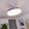 Bendigo Ventilador de techo LED Cromo, Transparente, claro, Blanca, 1 luz