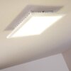 AILIK Lámpara de Techo LED Blanca, 1 luz