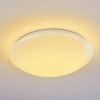 Brighton Lámpara de Techo LED Blanca, 1 luz, Mando a distancia, Cambia de color