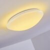 Brighton Lámpara de Techo LED Blanca, 1 luz, Mando a distancia, Cambia de color