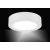 Leuchten-Direkt OSKAR Lámpara de techo LED Blanca, 1 luz
