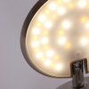 Steinhauer Zenith Aplique LED Acero inoxidable, 1 luz