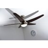 Globo FABIOLA Ventilador Acero inoxidable, Níquel-mate, 1 luz, Mando a distancia