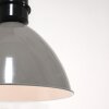 Steinhauer Frisk Lámpara Colgante Gris, 1 luz