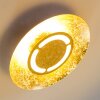 KINOSIS Lámpara de Techo LED dorado, 1 luz