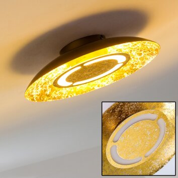 KINOSIS Lámpara de Techo LED dorado, 1 luz