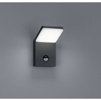 Trio PEARL Aplique para exterior LED Antracita, 1 luz, Sensor de movimiento