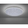 Lámpara de Techo Paul Neuhaus Q-NIGHTSKY LED Aluminio, 1 luz, Mando a distancia