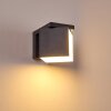 Swanek Aplique para exterior LED Antracita, 1 luz