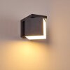 Swanek Aplique para exterior LED Antracita, 1 luz