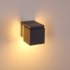 Swanek Aplique para exterior LED Antracita, 1 luz