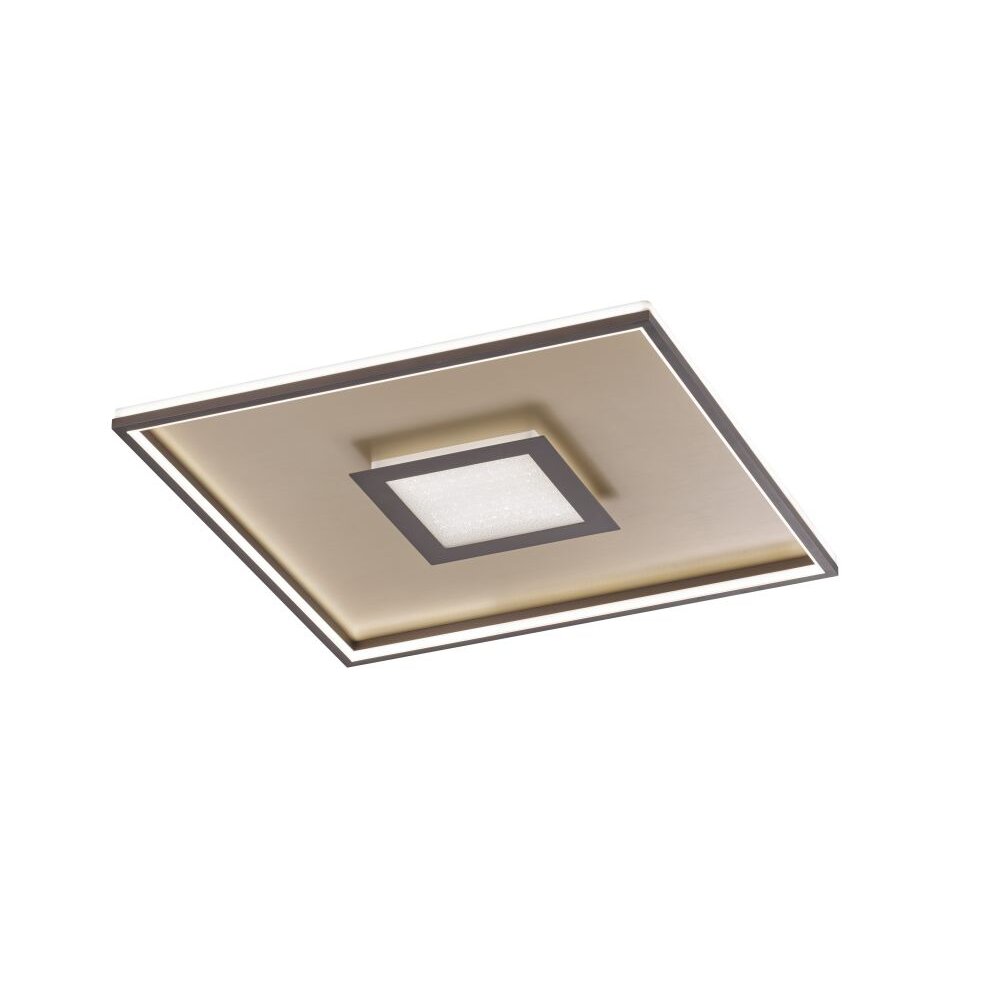 Lámpara de Techo Fischer & Honsel Bug LED dorado, Color óxido, 1 luz, Mando a distancia main product photo