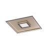 Lámpara de Techo Fischer & Honsel Bug LED dorado, Color óxido, 1 luz, Mando a distancia