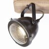 Brilliant Carmen Wood Lámpara de Techo Acero inoxidable, 3 luces
