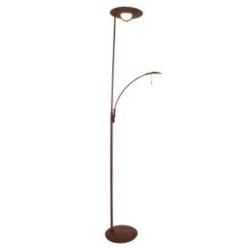 Steinhauer Zenith Lámpara de Pie LED Bronce, 2 luces