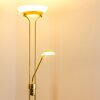 Biot Lámpara de pie LED Latón, 2 luces