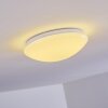 Brighton Lámpara de Techo LED Blanca, 1 luz, Mando a distancia, Cambia de color