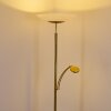 Argostoli Lámpara de Pie LED Latón, 2 luces