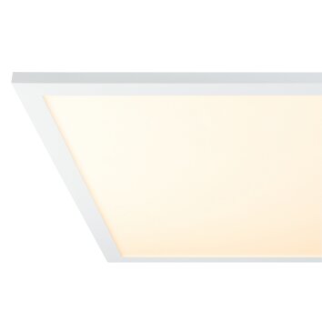 Globo ROSI Lámpara de Techo LED Blanca, 1 luz, Mando a distancia