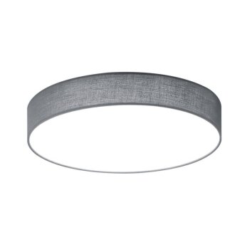 Trio LUGANO Lámpara de techo LED Gris, 1 luz