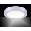 Leuchten-Direkt OSKAR Lámpara de techo LED Plata, 1 luz