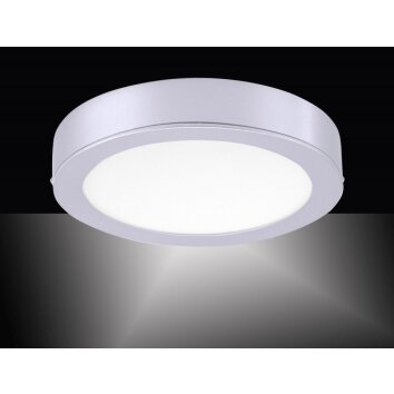 Leuchten-Direkt OSKAR Lámpara de techo LED Plata, 1 luz