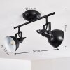 Tina Lámpara de Techo Negro, 2 luces