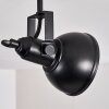 Tina Lámpara de Techo Negro, 2 luces