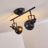 Tina Lámpara de Techo Negro, 2 luces