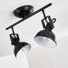 Tina Lámpara de Techo Negro, 2 luces
