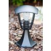 Philips myGarden CREEK Poste de jardin Negro, Transparente, claro, 1 luz