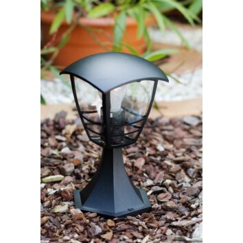 Philips myGarden CREEK Poste de jardin Negro, Transparente, claro, 1 luz